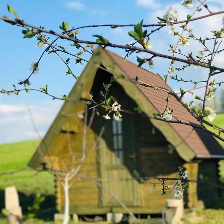 Pensiune Rozalia - Camping Bed & Breakfast Crit Dış mekan fotoğraf