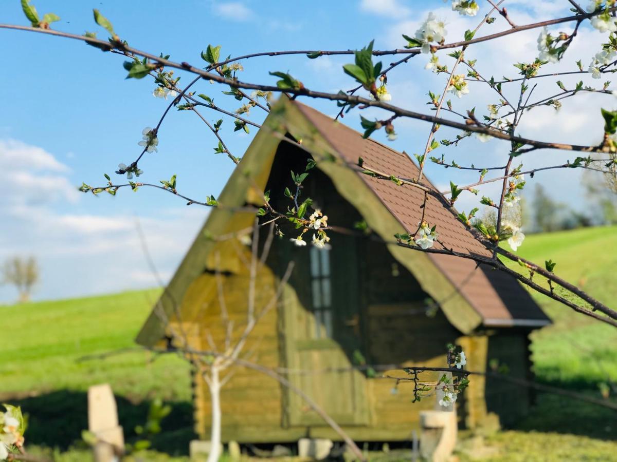 Pensiune Rozalia - Camping Bed & Breakfast Crit Dış mekan fotoğraf